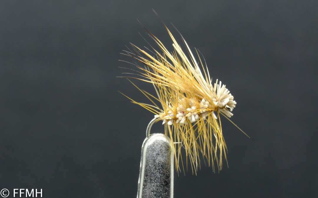 Suchá muška Irresistible Elk Hair Caddis
