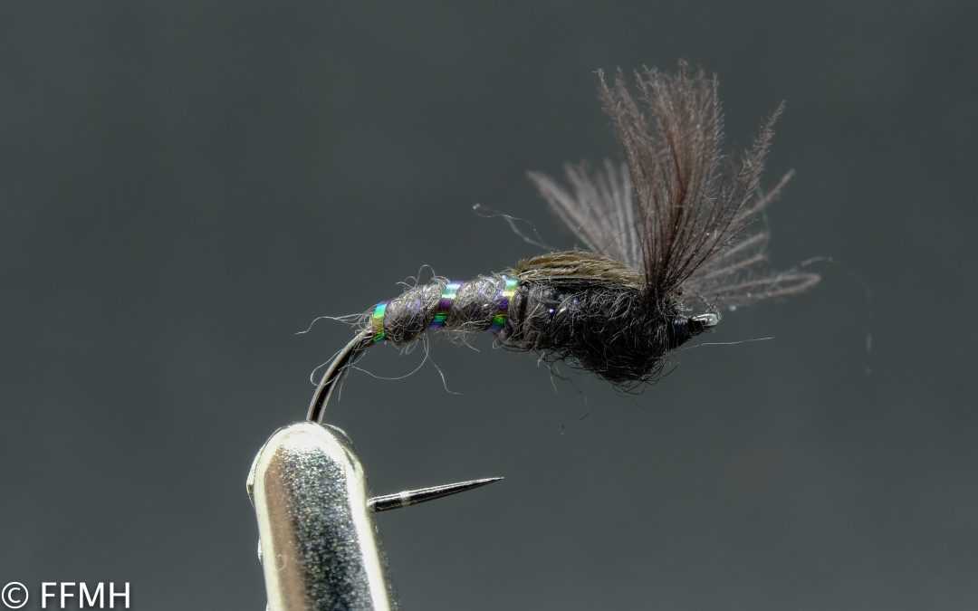 Suchá muška Dark Spotted Sedge
