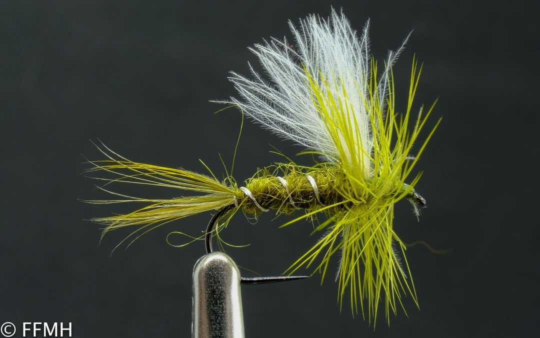 Suchá muška Olive Upright