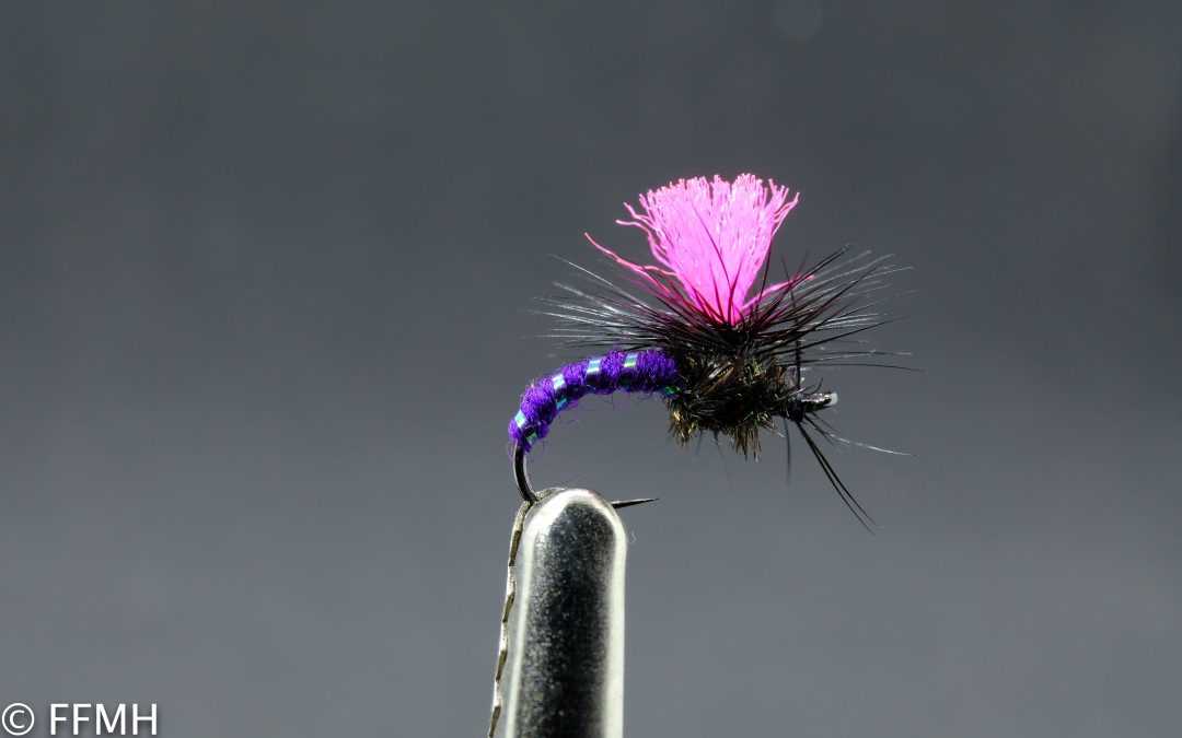 Suchá muška Black Magic Purple Rib