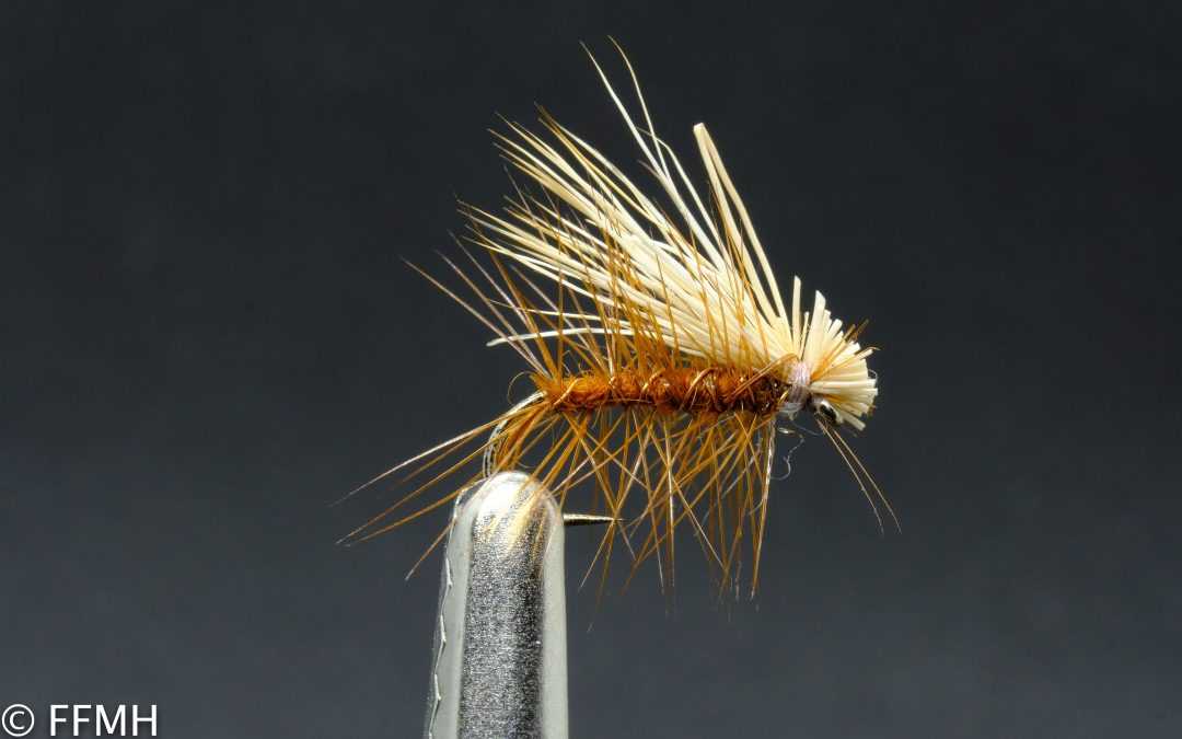 Suchá muška Elk Hair Caddis Brown