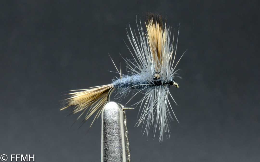 Suchá muška Grey Wulff Mayfly