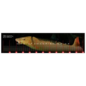 Měřící podložka KAJMAN CREATIVE FISHING 120 cm