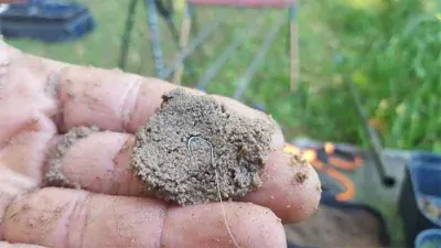 HJG-Drescher PASTA - SWEET FISHMEAL