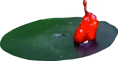 HJG-Drescher Práškový DIP Cejn