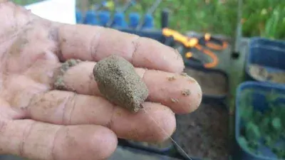 HJG-Drescher PASTA - GREEN BETAINE