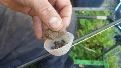 HJG-Drescher PASTA - GREEN BETAINE