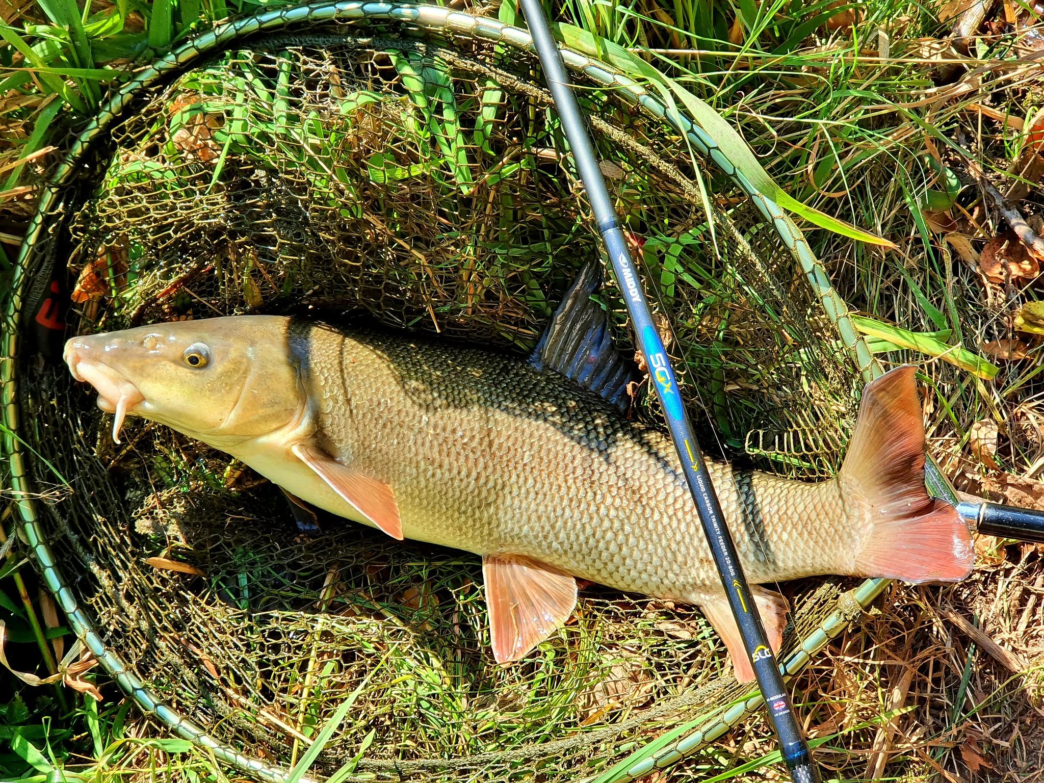 Middy Trinity 5GX - fotka 4